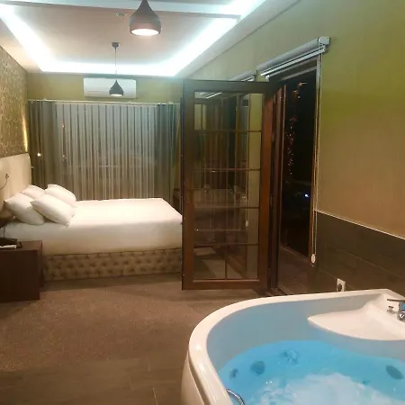 Villa Da Otel Artvin